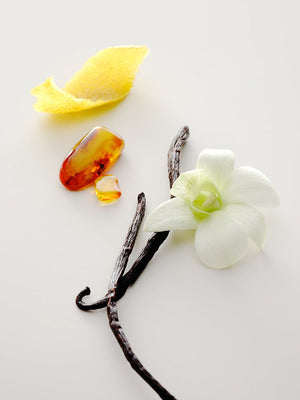 Perfume Oil No.15 Vanille Infinie