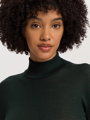 Celeste Woolen Silk Turtleneck
