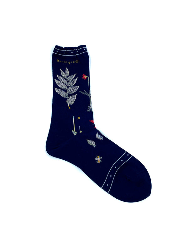 Botanical