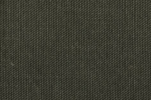 Brown pants with a belt on a white background, next to a forest green color swatch.