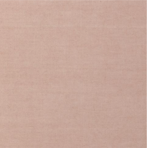 Poplin shirt