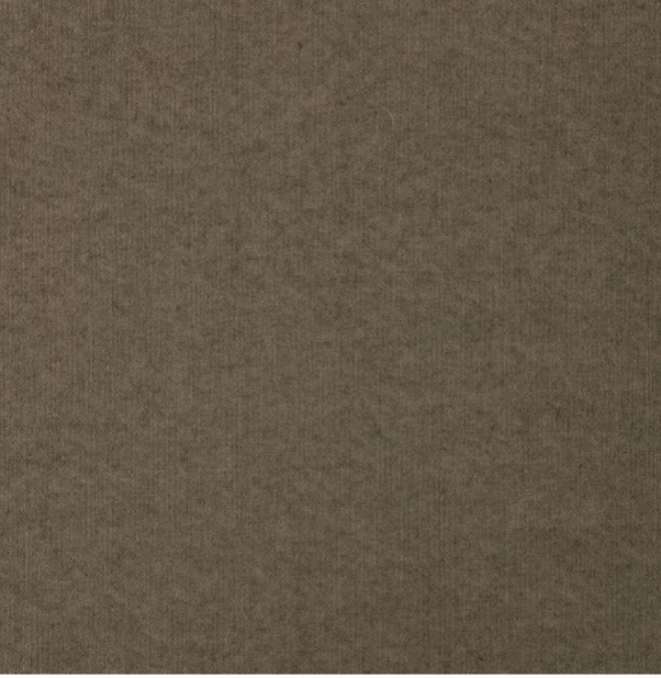 Poplin shirt