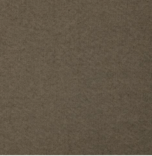 Poplin shirt